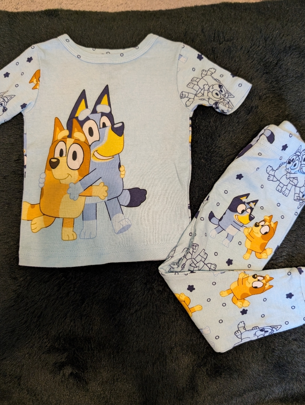 Bluey And Bingo Toddler Short Sleeve Pajama Pant Set 2t